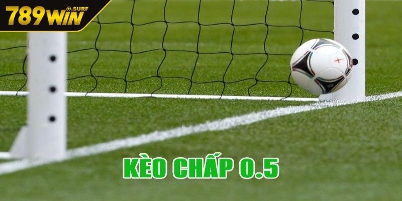 Kèo Handicap 0,5 nổi bật