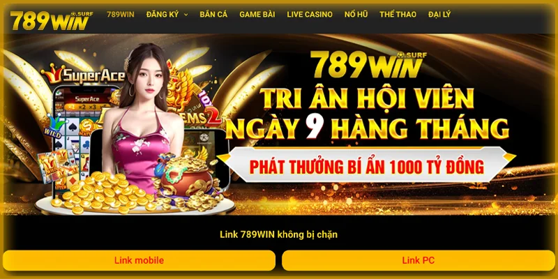 Khái quát về 789win